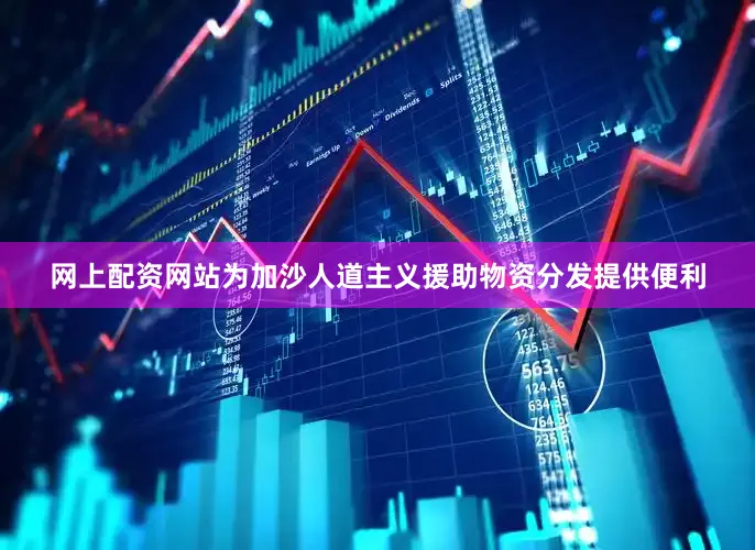 网上配资网站为加沙人道主义援助物资分发提供便利